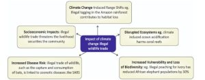 Illegal wildlife trade