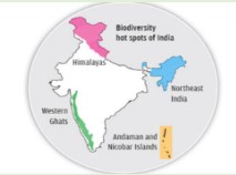 Biodiversity Conservation