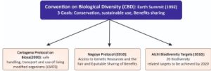 Biodiversity Initiatives