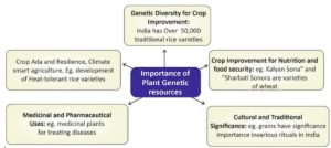 Biodiversity Initiatives