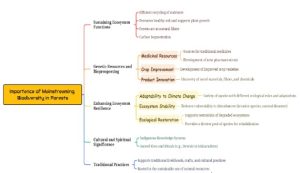 Mainstreaming biodiversity 