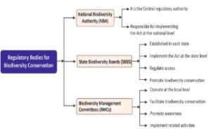 Biodiversity Conservation