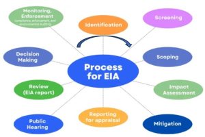 Environmental Impact Assessment 