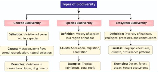 Biodiversity Definition, Importance, Hotspots, Conservation
