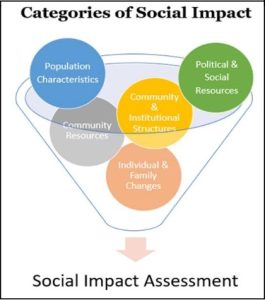 Environmental Impact Assessment 