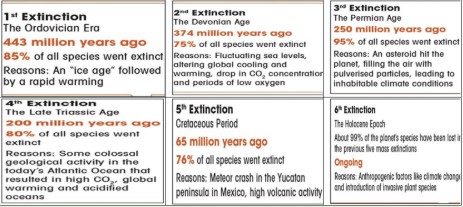 Biodiversity Definition, Importance, Hotspots, Conservation