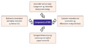 Biodiversity Conservation