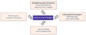 Biodiversity Conservation