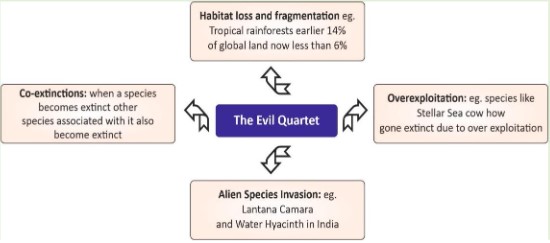 Biodiversity Definition, Importance, Hotspots, Conservation