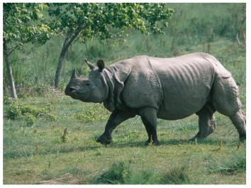 Assam FAQs