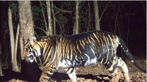 National Parks in India